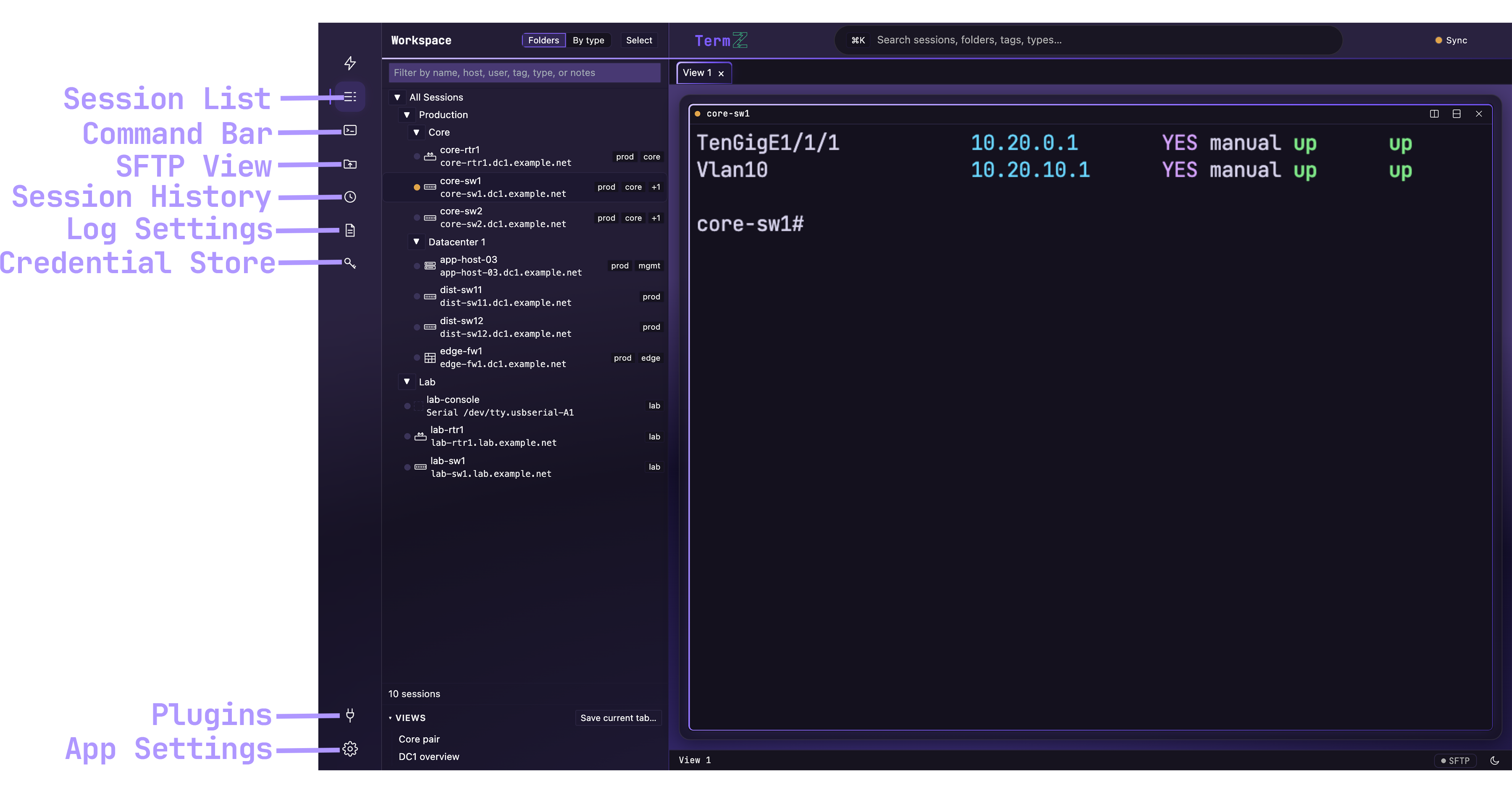 The TermZ window with the activity rail labeled — each icon and the view it opens.